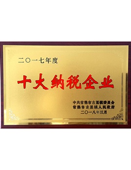 十大納稅企業(yè)